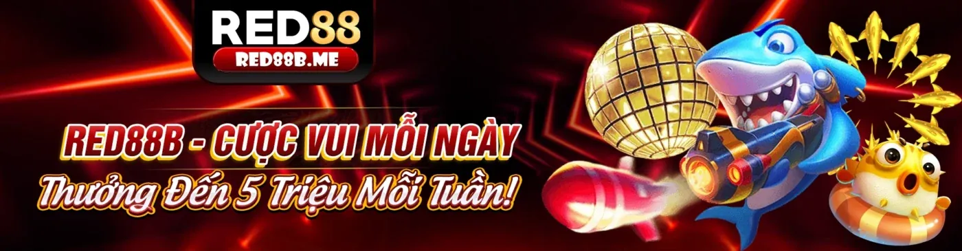 Hình ảnh chính về cá cược thể thao 555winto