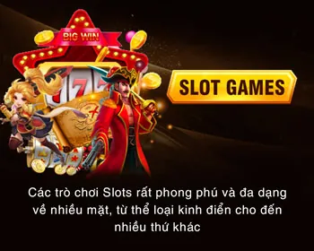 Quản Lý Tài Khoản VIP Cá Nhân