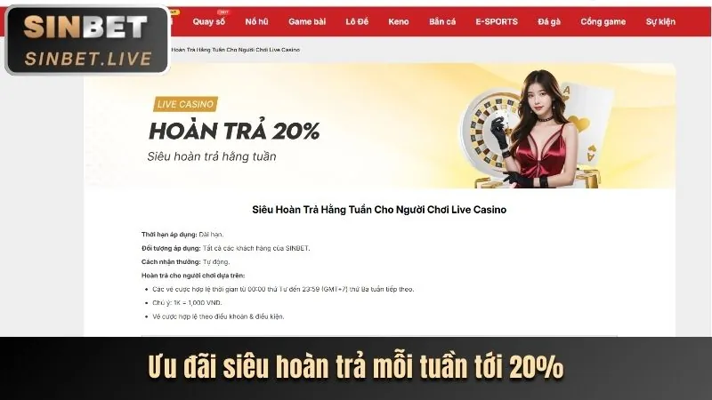 Hoàn trả hàng ngày 555winto